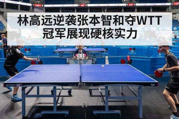 林高远逆袭张本智和夺WTT冠军展现硬核实力